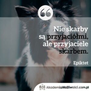 Read more about the article CYTAT MOTYWACYJNY #22