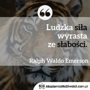 Read more about the article CYTAT MOTYWACYJNY #60