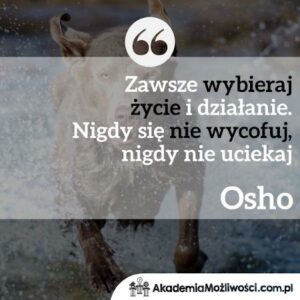 Read more about the article CYTAT MOTYWACYJNY #95