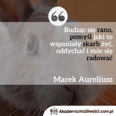 Akademia-Mozliwosci-cytat-motywacyjny- (5)